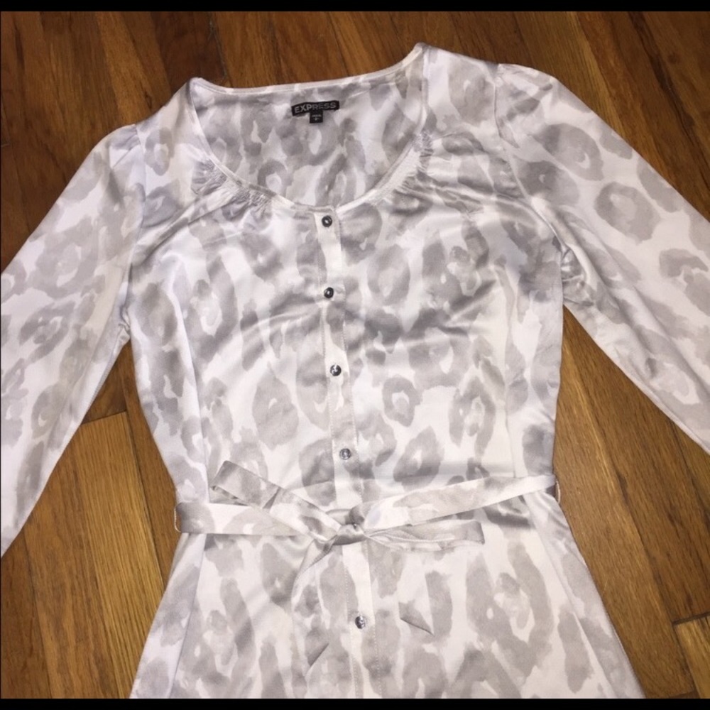 Express Dress - Picture 3 of 4
